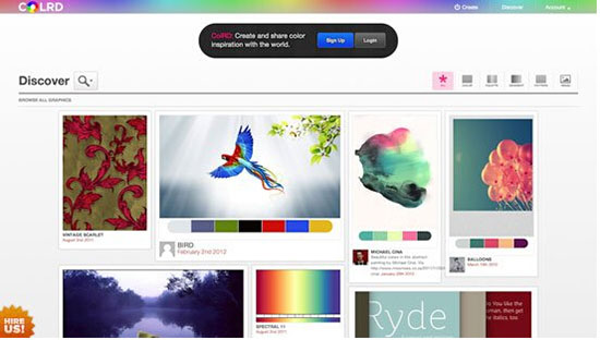 �W(w��ng)վ���O(sh��)